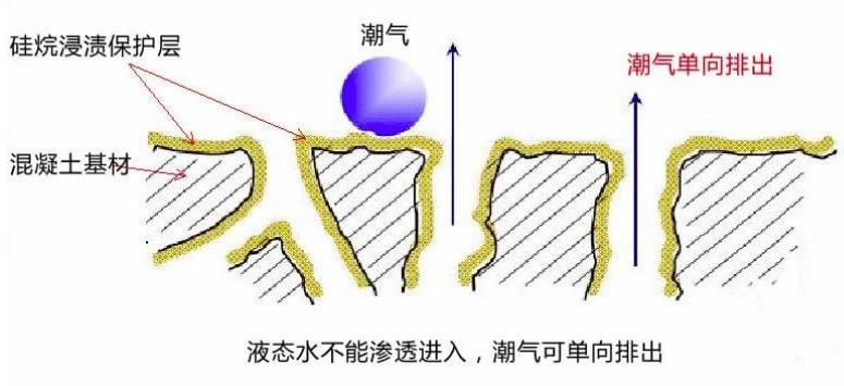 硅烷浸渍剂防护原理
